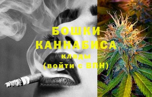 сатива Волосово