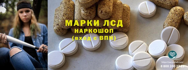 бошки Тайга